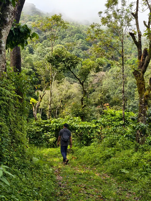 Ibbani Gudda, photo 2 of 9