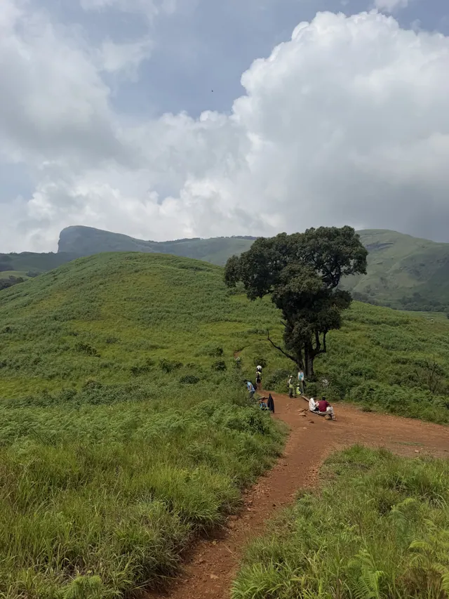 Kudremukha, photo 5 of 11