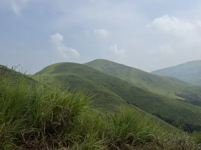 Kudremukha, photo 6 of 11
