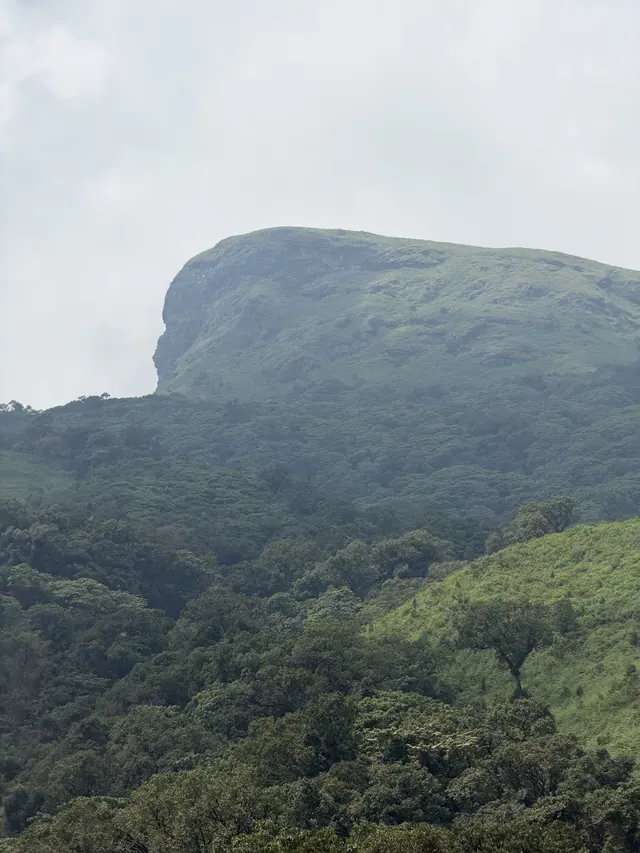 Kudremukha, photo 17 of 54