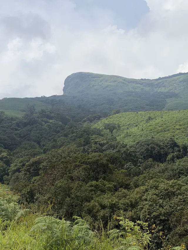Kudremukha, photo 18 of 54