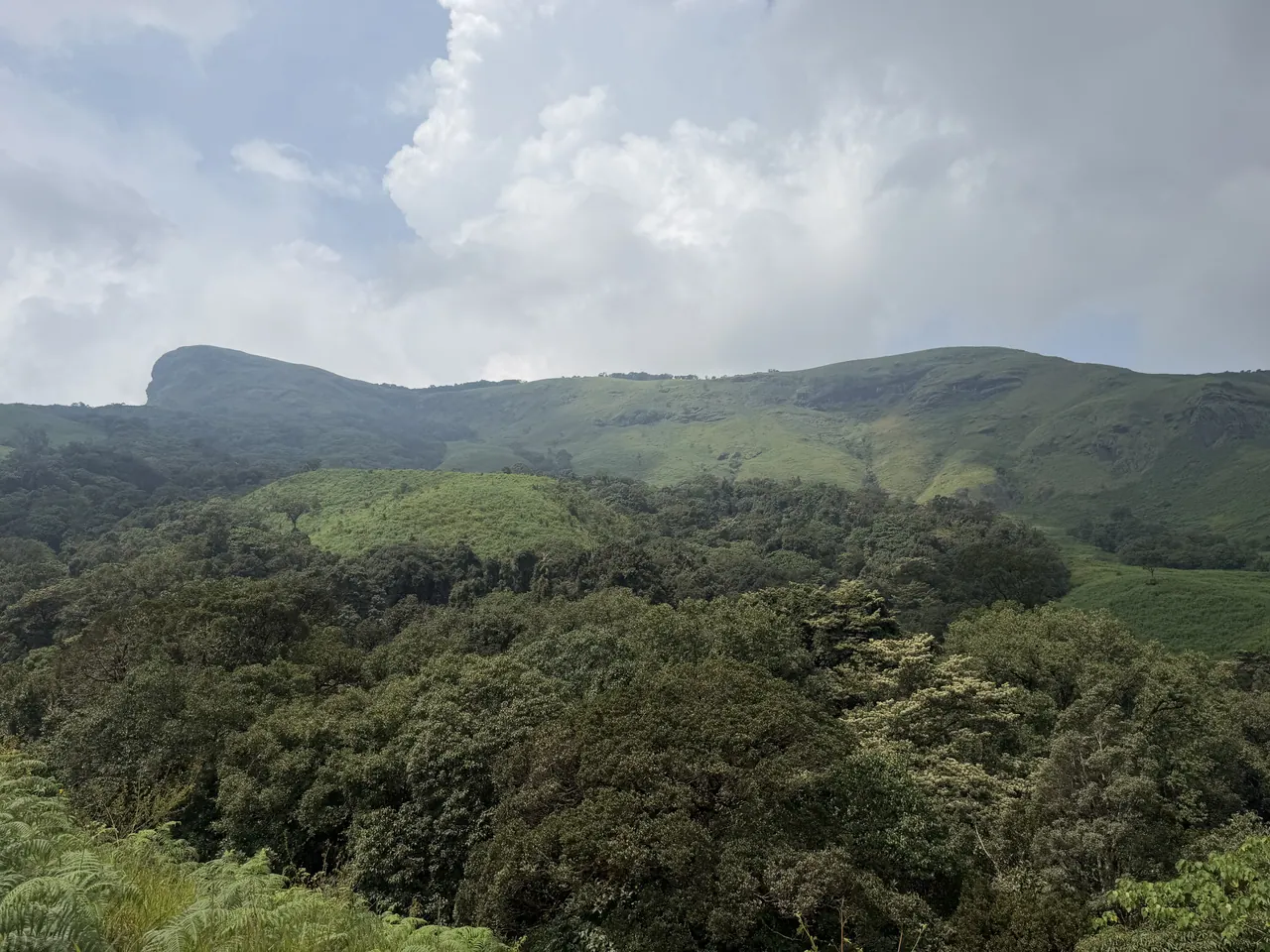 Kudremukha peak above rolling shola grassland