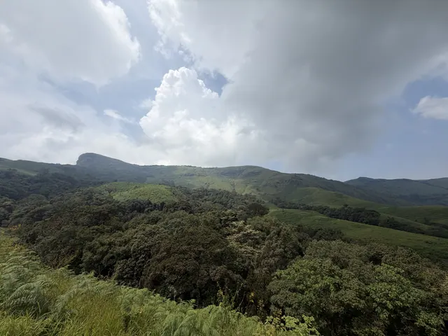 Kudremukha, photo 16 of 54